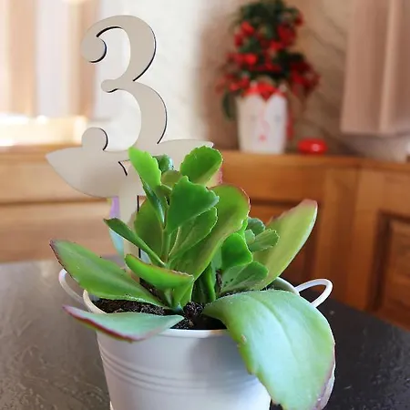 Sfazu ポスキアボ