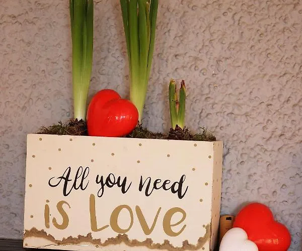 Sfazu * بوشيافو