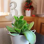 Sfazu Poschiavo